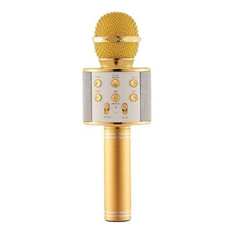 Wireless Karaoke Speaker Mic