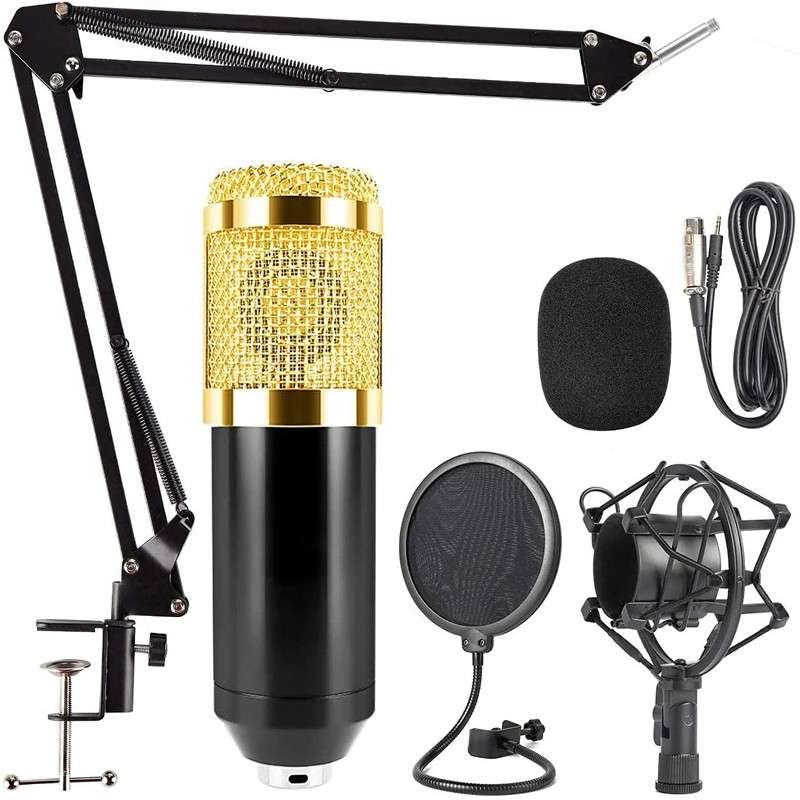 Pro Recording & Broadcasting Microphone