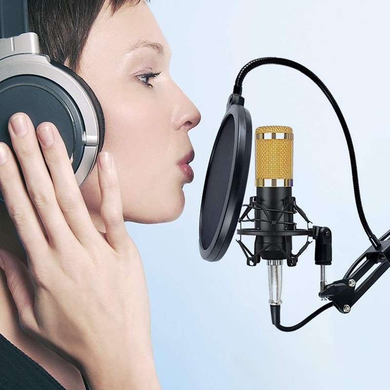 Pro Recording & Broadcasting Microphone