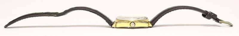 Nivada men`s automatic watch, working as per photo