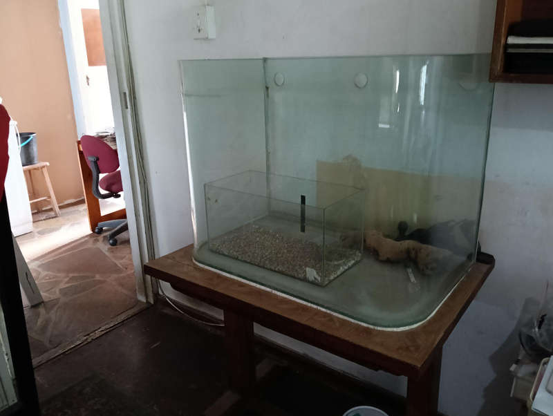 200L FISH TANK