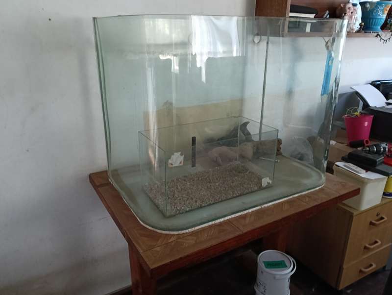 FISH AQUARIUM 200L