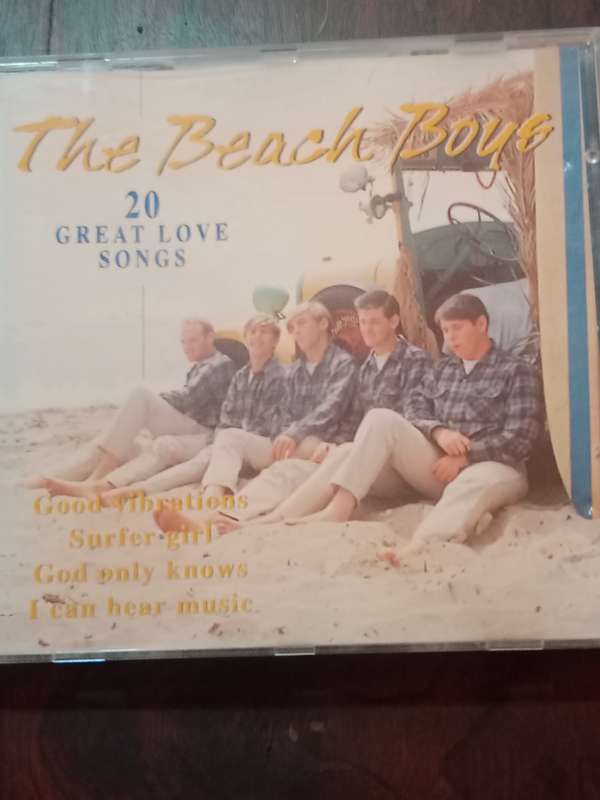 The beach Boys
