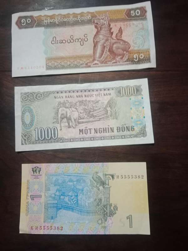 Different bank notes from different countries