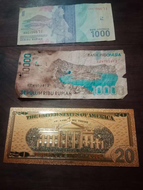 Different bank notes from different countries