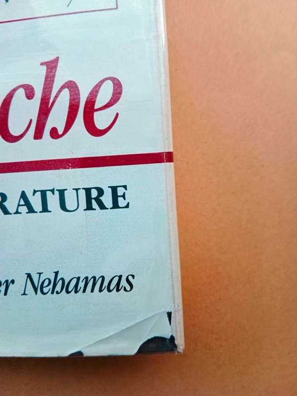 Nietzsche - Life as Literature, Alexander Nehamas