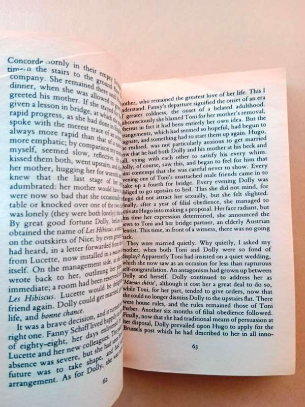 A Family Romance, Anita Brookner