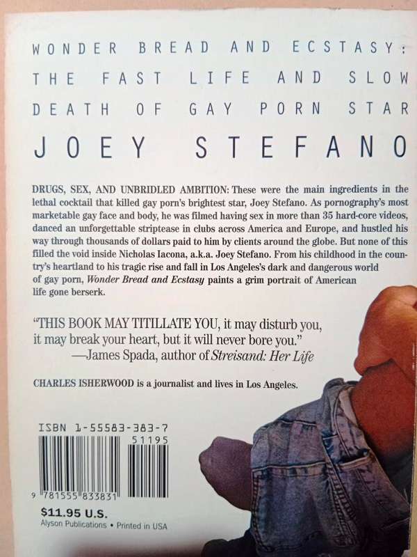Wonder Bread and Ecstasy: The Life and Death of Joey Stefano, Charles Isherwood
