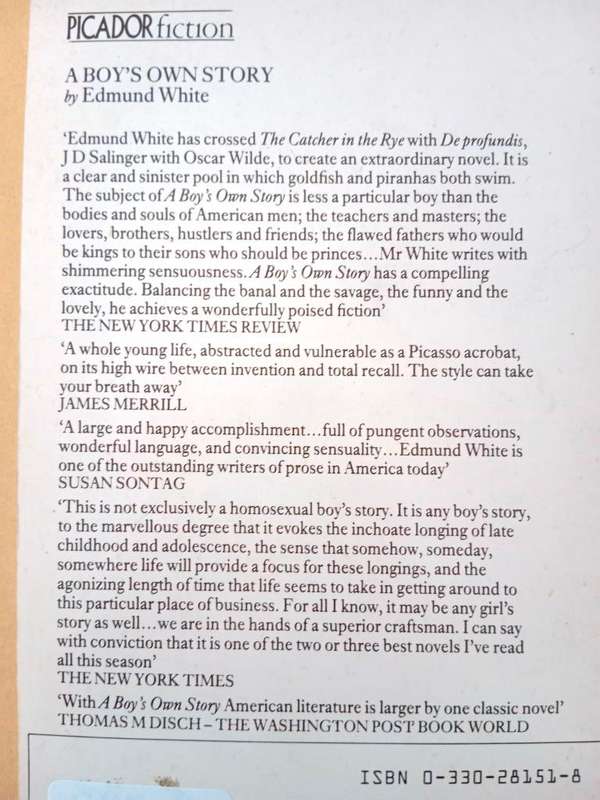A Boy's Own Story, Edmund White