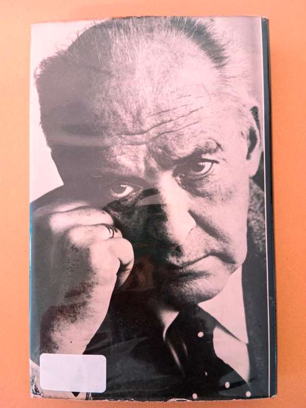 Look at the Harlequins!, Vladimir Nabokov