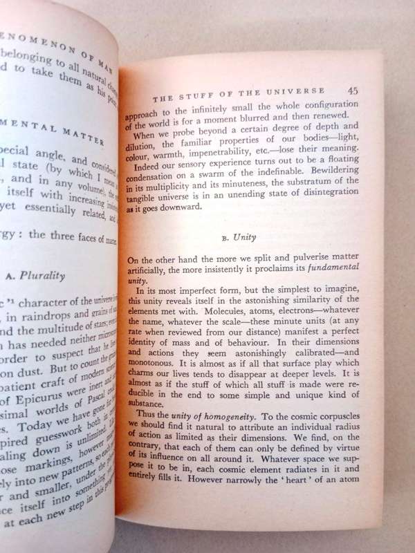The Phenomenon of Man, Pierre Teilhard de Chardin