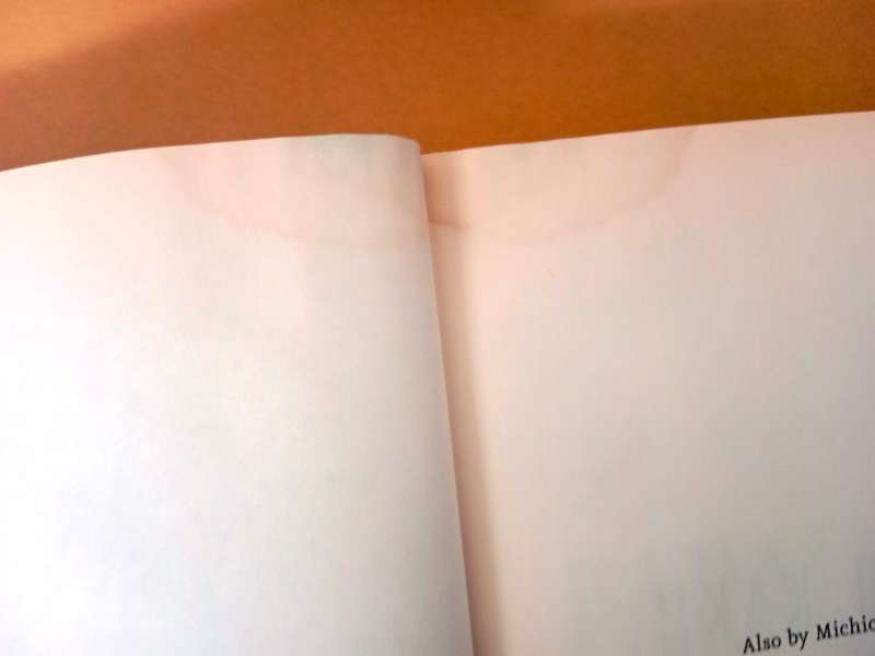 Parallel Worlds, Michio Kaku