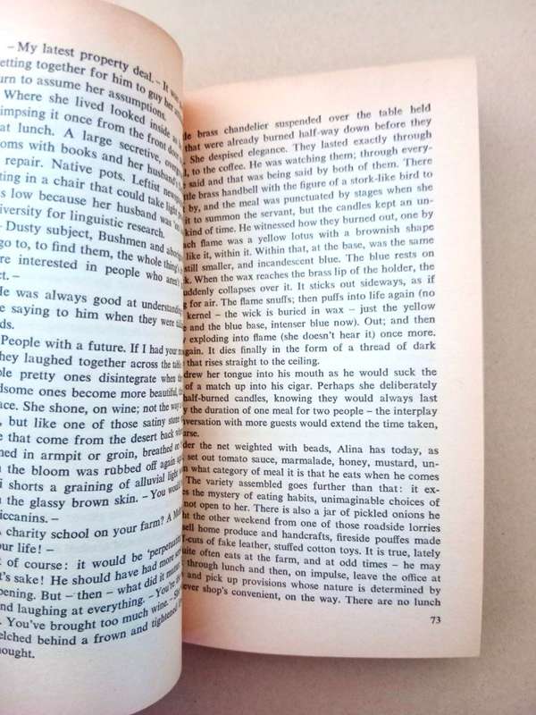 The Conservationist, Nadine Gordimer