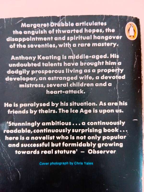 The Ice Age, Margaret Drabble