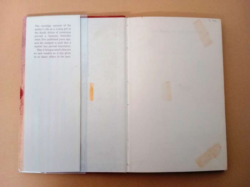 The Diary of Iris Vaughan