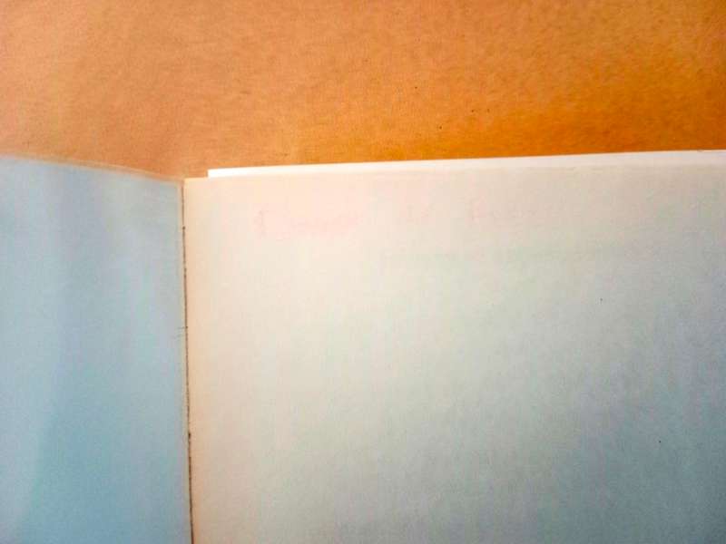 Stupeur et tremblements, Amélie Nothomb