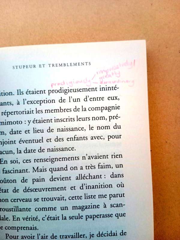 Stupeur et tremblements, Amélie Nothomb