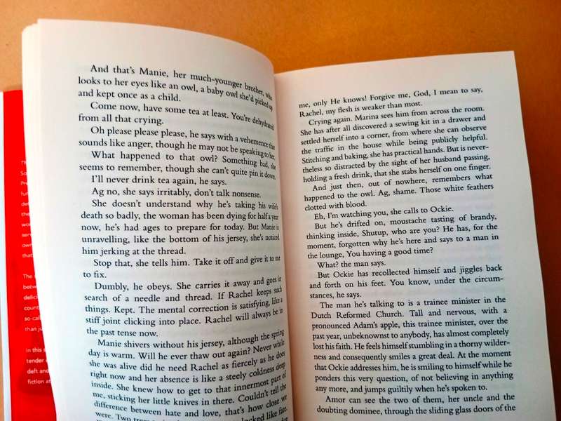 The Promise, Damon Galgut