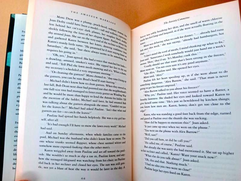 The Amateur Marriage, Anne Tyler