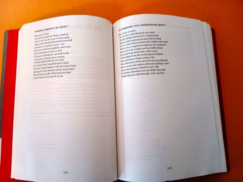 A Ruthless Fidelity - The Collected Poems of Douglas Livingstone