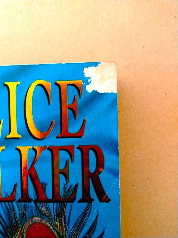 The Temple of my Familiar, Alice Walker