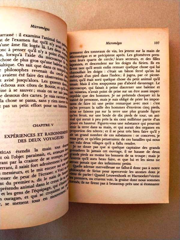 Zadig, Voltaire (Tome II)