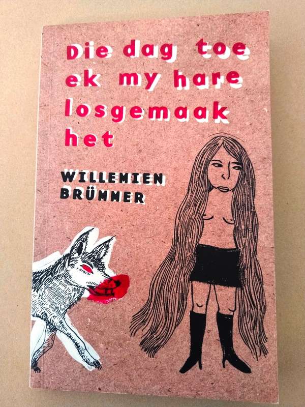 Die dag toe ek my hare losgemaak het, Willemien Brümmer [kortverhale]