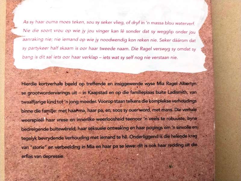 Die dag toe ek my hare losgemaak het, Willemien Brümmer [kortverhale]
