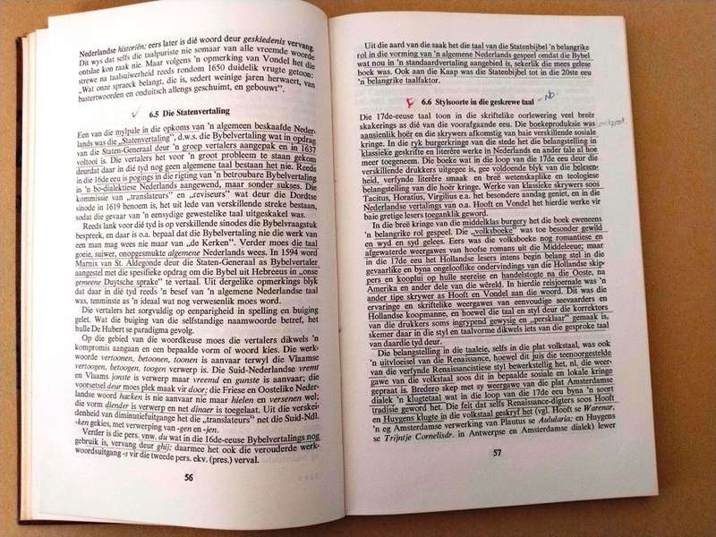 Afrikaans en sy Europese verlede, E.H. Raidt