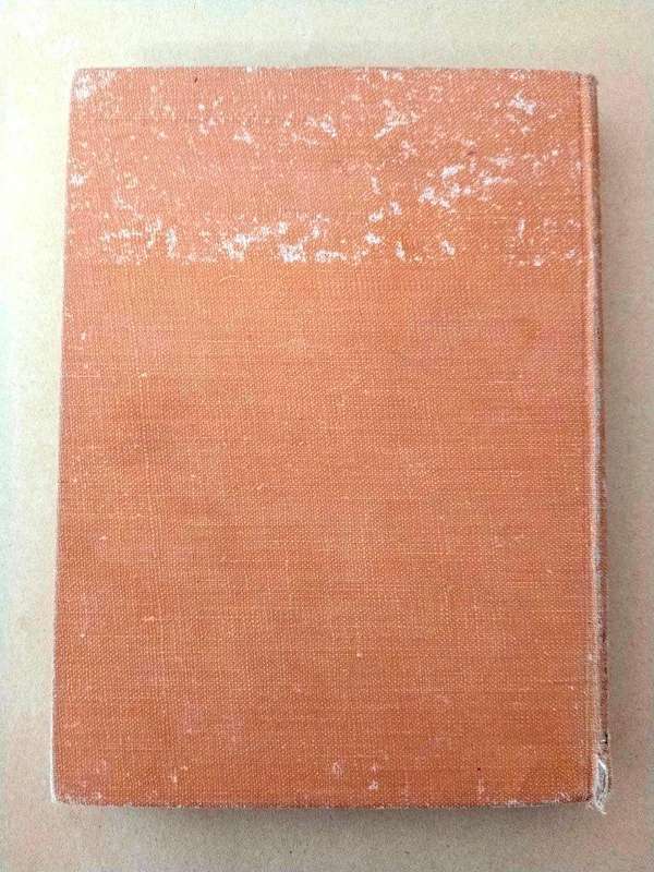 'Die Vlakte' en ander gedigte, Jan F.E. Celliers