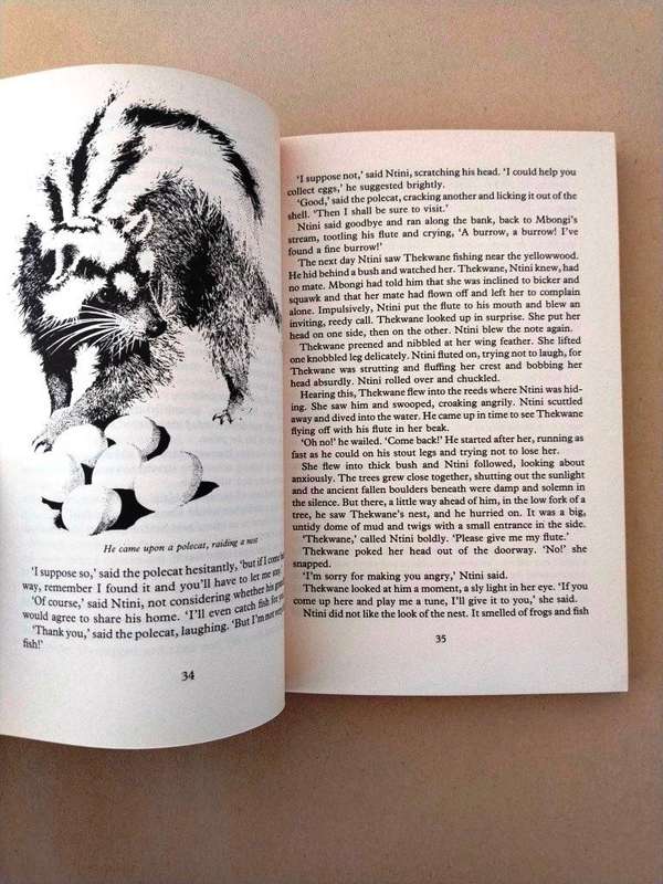 'Sambane's Dream' and other Stories, Margeurite Poland