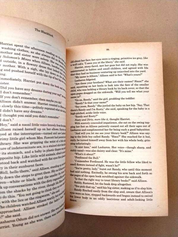 The Little Friend, Donna Tartt