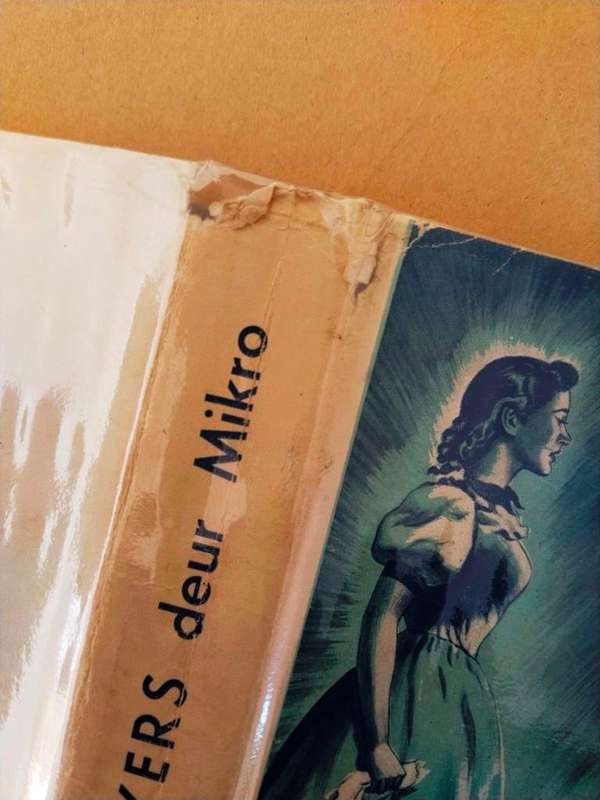 Anna Beyers, Mikro