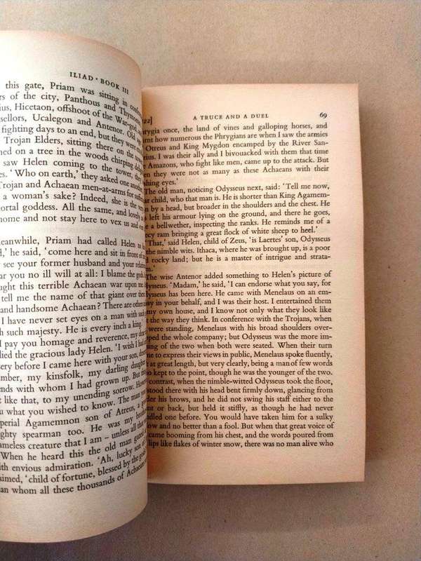 The Iliad, Homer