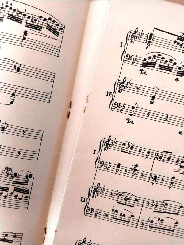 Concerto in E-flat major, K449, W.A. Mozart [for piano]