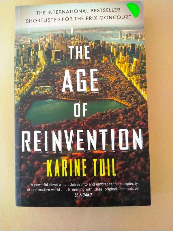 The Age of Reinvention, Karine Tuil