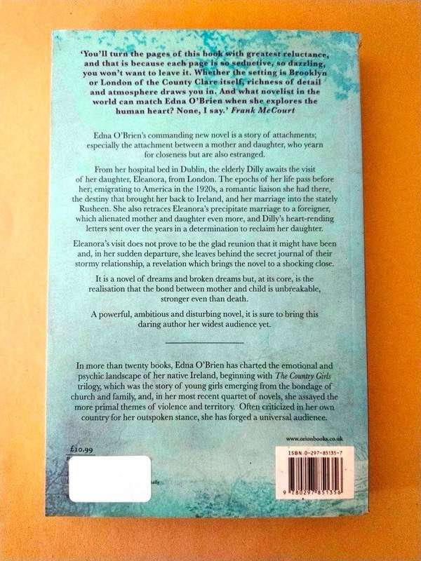 The Light of Evening, Edna O'Brien