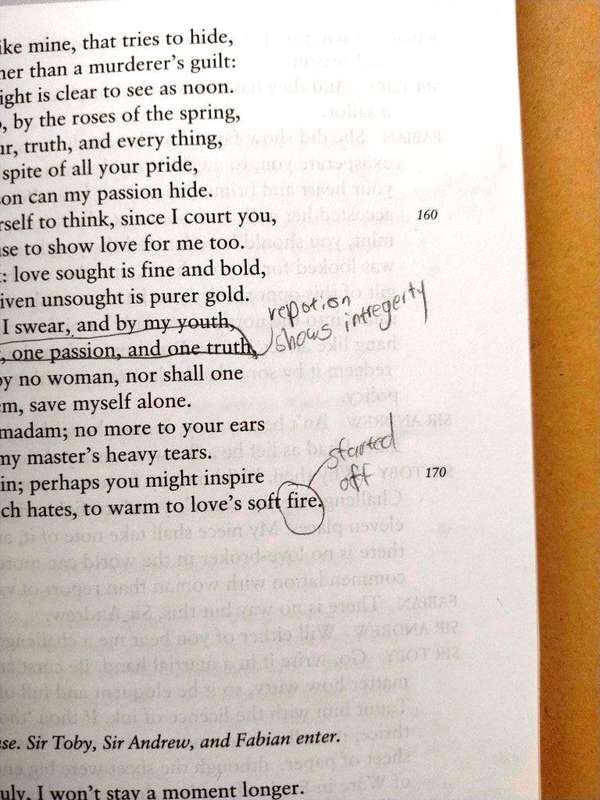 Twelfth Night, William Shakespeare (In Modern English)