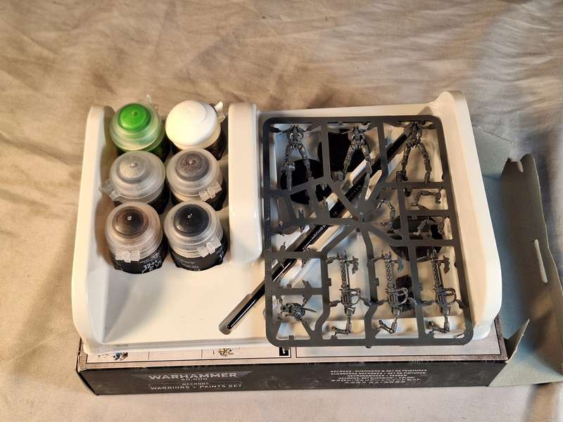 Warhammer 40,000 necrons warriors and paints set
