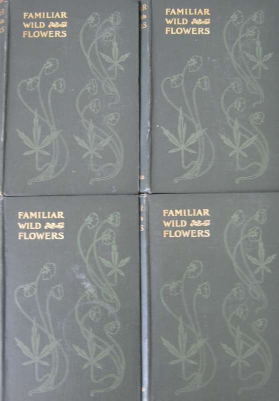 Familiar Wild Flowers  4 Volumes F Edward Hulme