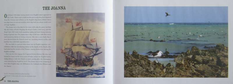 Rouges to Riches The Fortunes of Olof Berg and the Van der Stels Marius Diemont