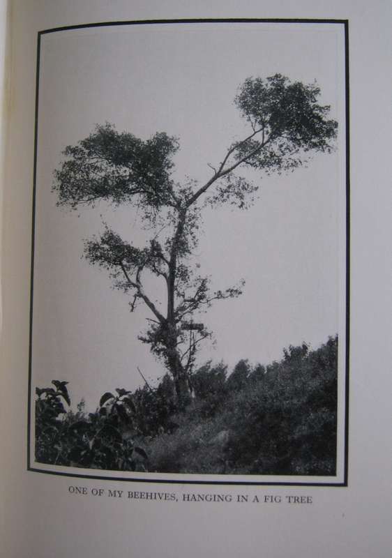 White African L S B Leakey