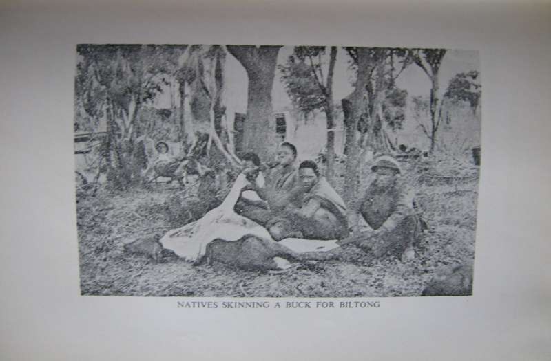 Sally In Rhodesia Sheila Macdonald