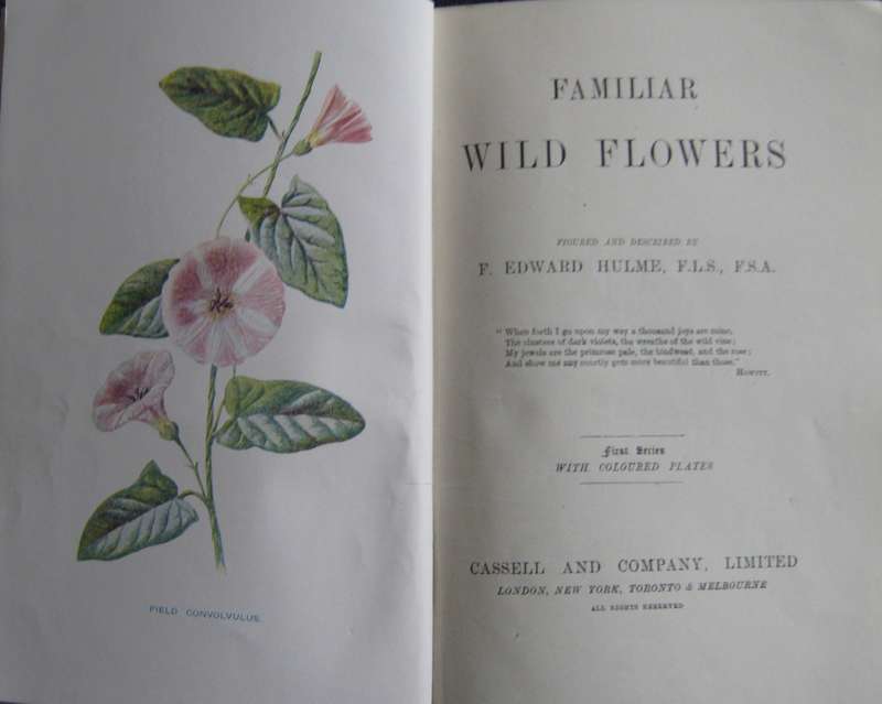 Familiar Wild Flowers  4 Volumes F Edward Hulme