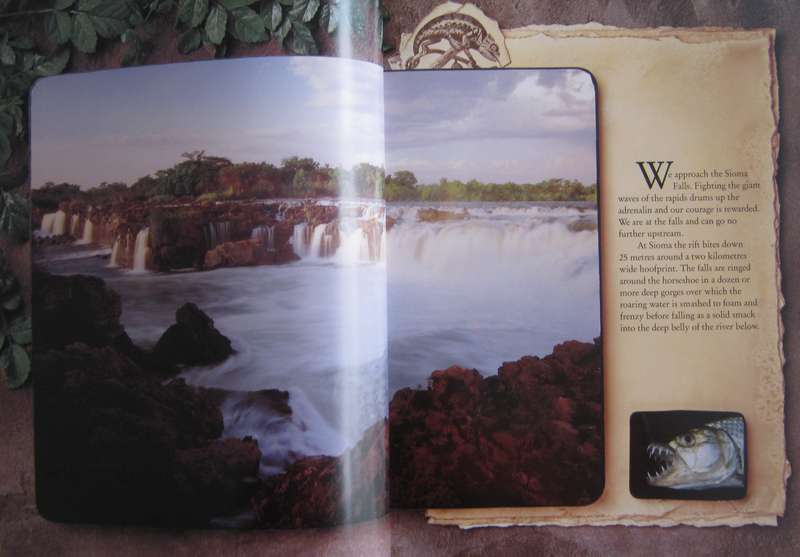 The African Journal Horst Klemm