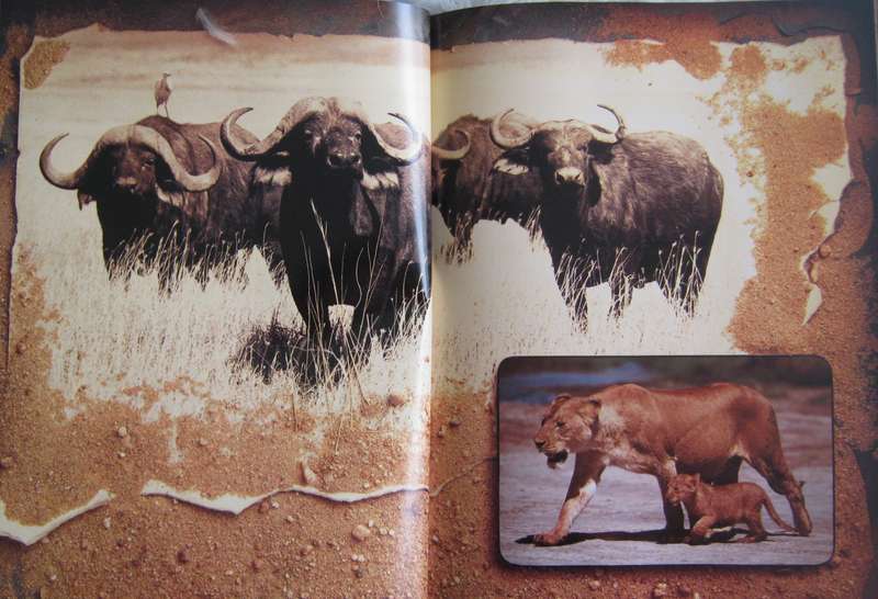 The African Journal Horst Klemm