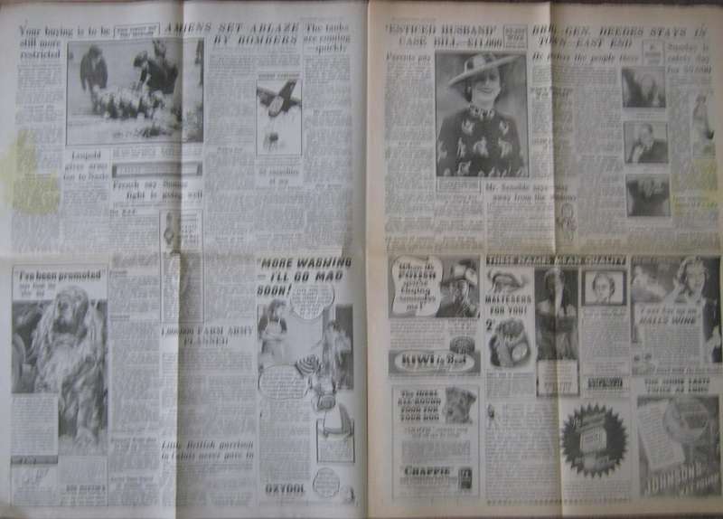 World War 2: Newspaper & Magazine Bundle