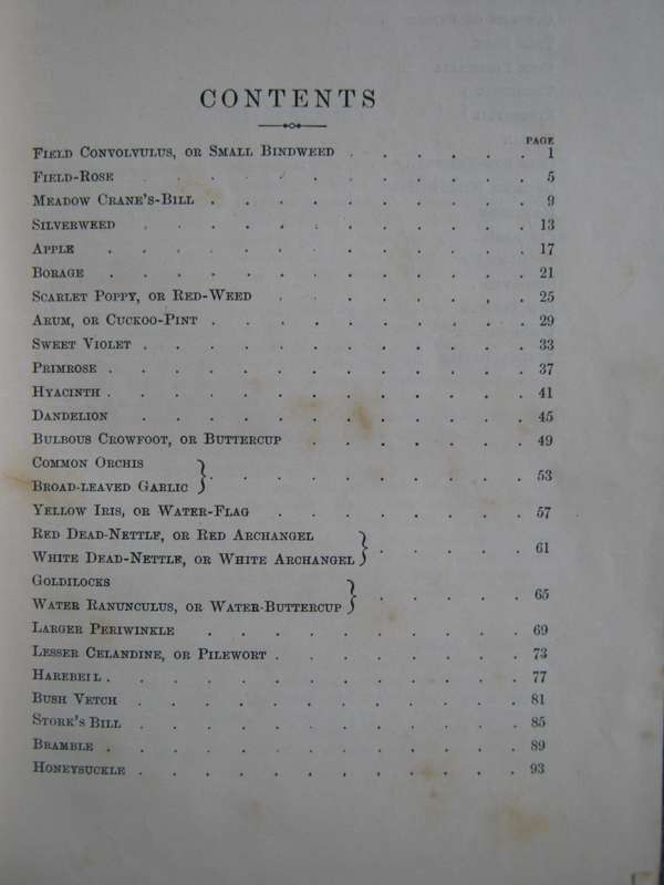 Familiar Wild Flowers  4 Volumes F Edward Hulme