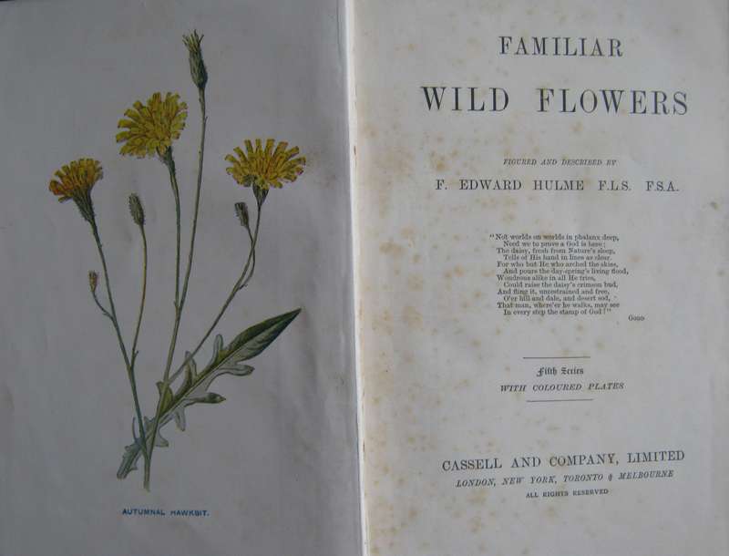 Familiar Wild Flowers  4 Volumes F Edward Hulme