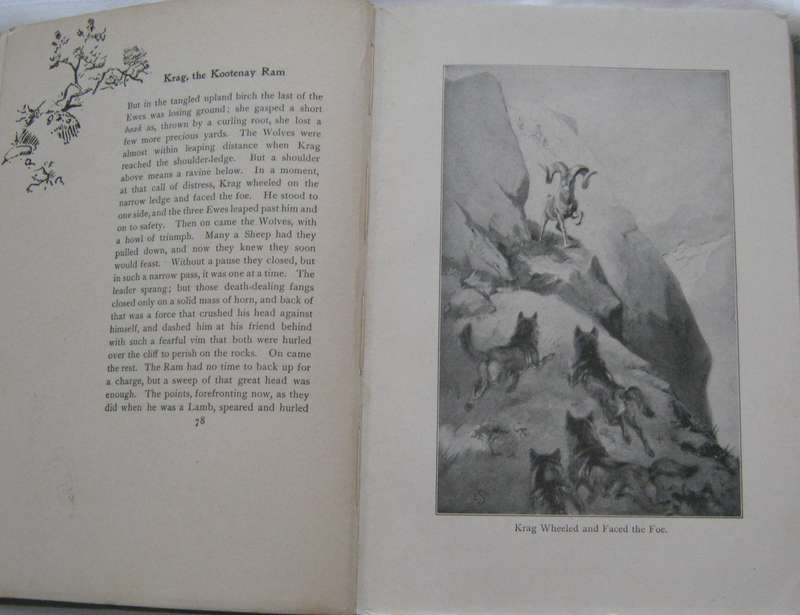 Lives Of The Hunted Ernest Thompson Seton